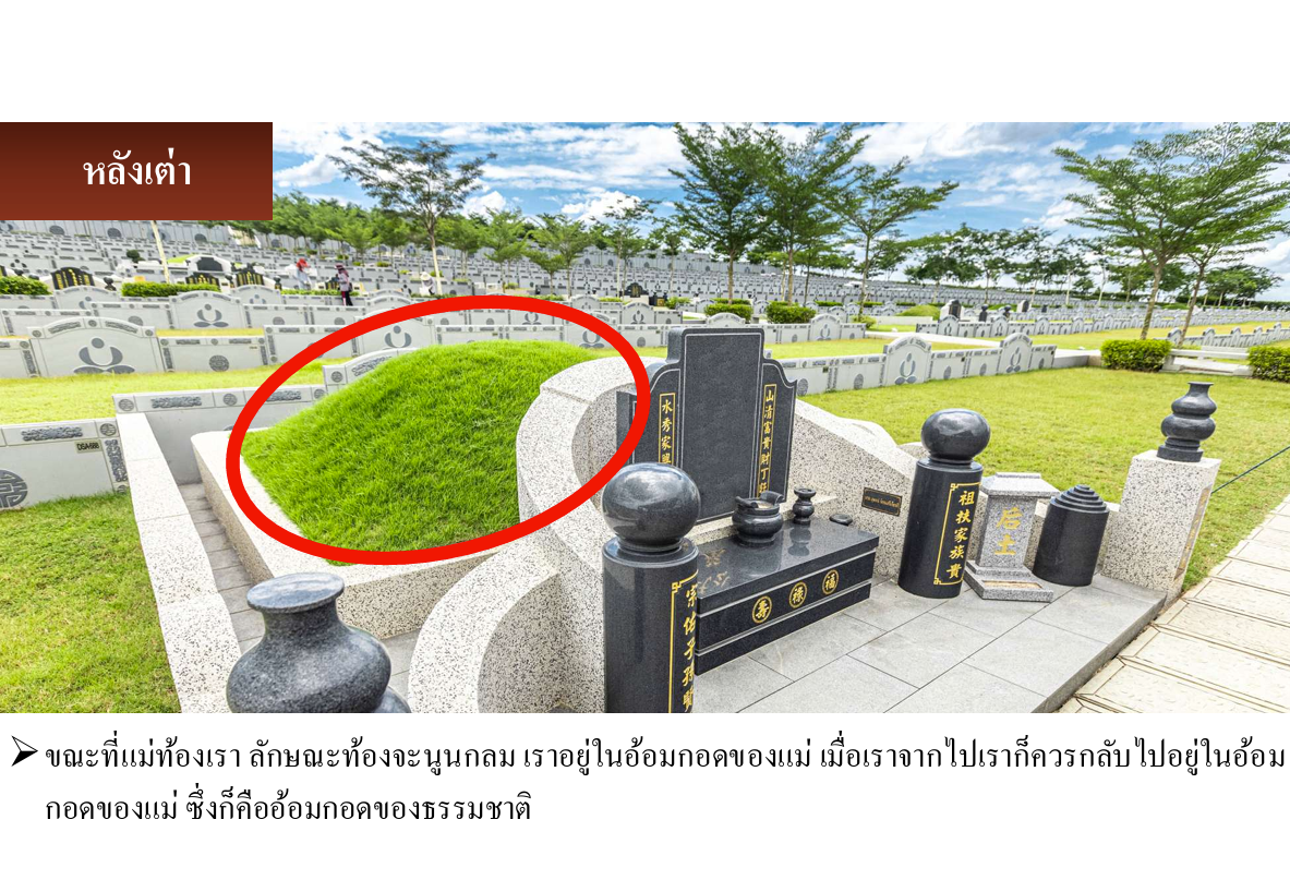หลังเต่า
